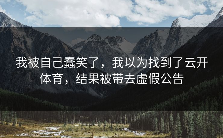我被自己蠢笑了，我以为找到了云开体育，结果被带去虚假公告