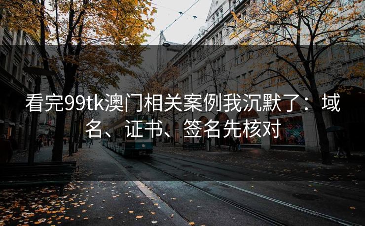 看完99tk澳门相关案例我沉默了：域名、证书、签名先核对