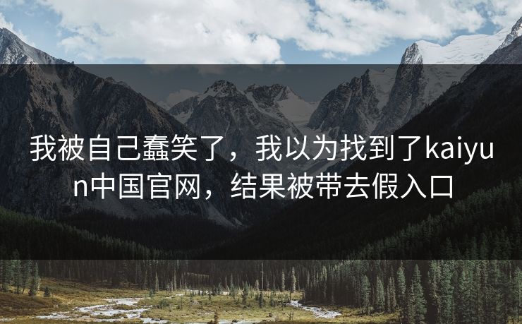 我被自己蠢笑了，我以为找到了kaiyun中国官网，结果被带去假入口