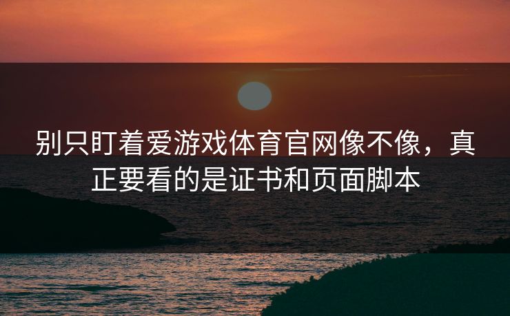 别只盯着爱游戏体育官网像不像，真正要看的是证书和页面脚本