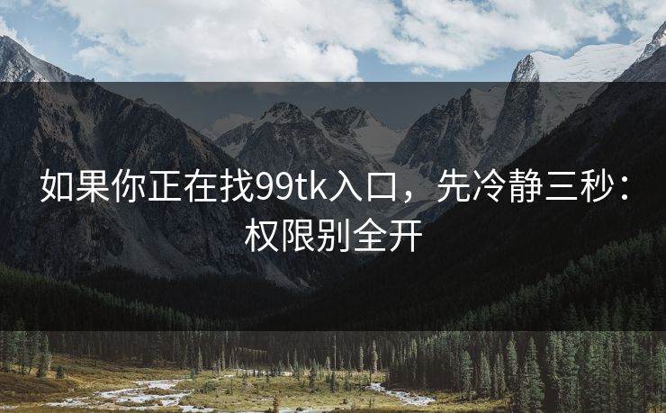如果你正在找99tk入口，先冷静三秒：权限别全开